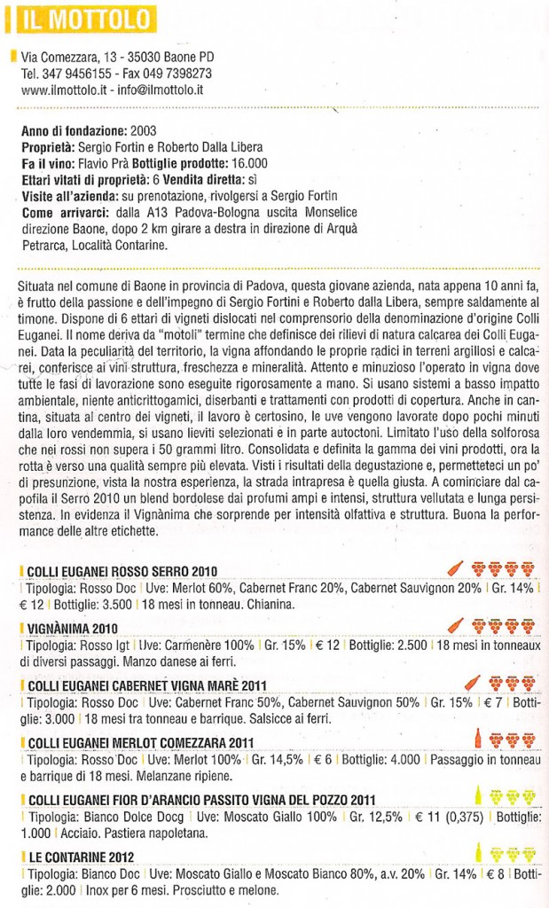 recensione-bibenda-2014-Ita