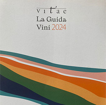 Vitae2024_2_340